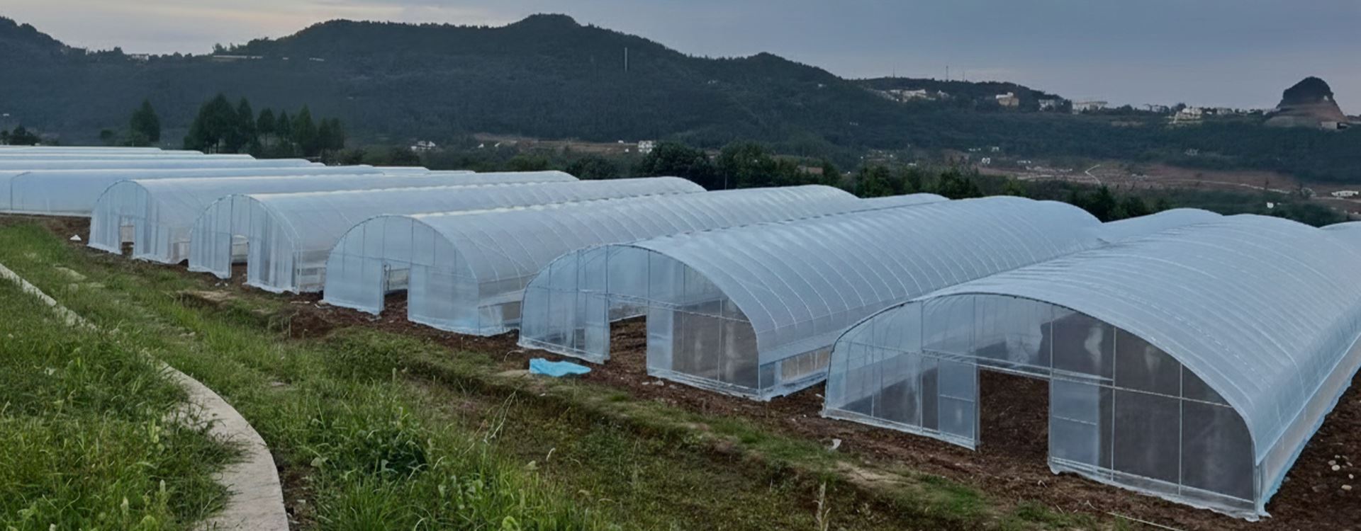 High-Performance Greenhouse Film